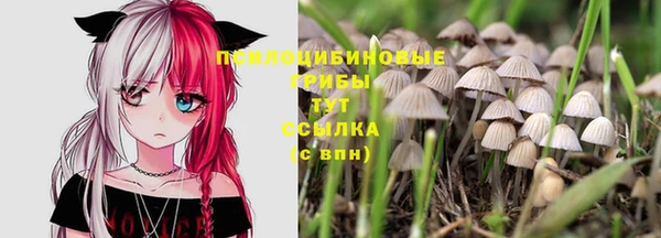 альфа пвп Осинники