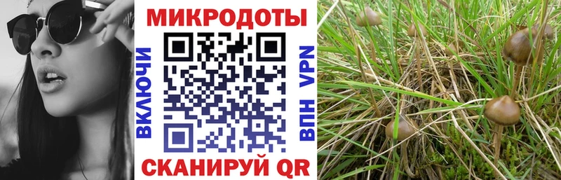 Галлюциногенные грибы GOLDEN TEACHER  Тавда 
