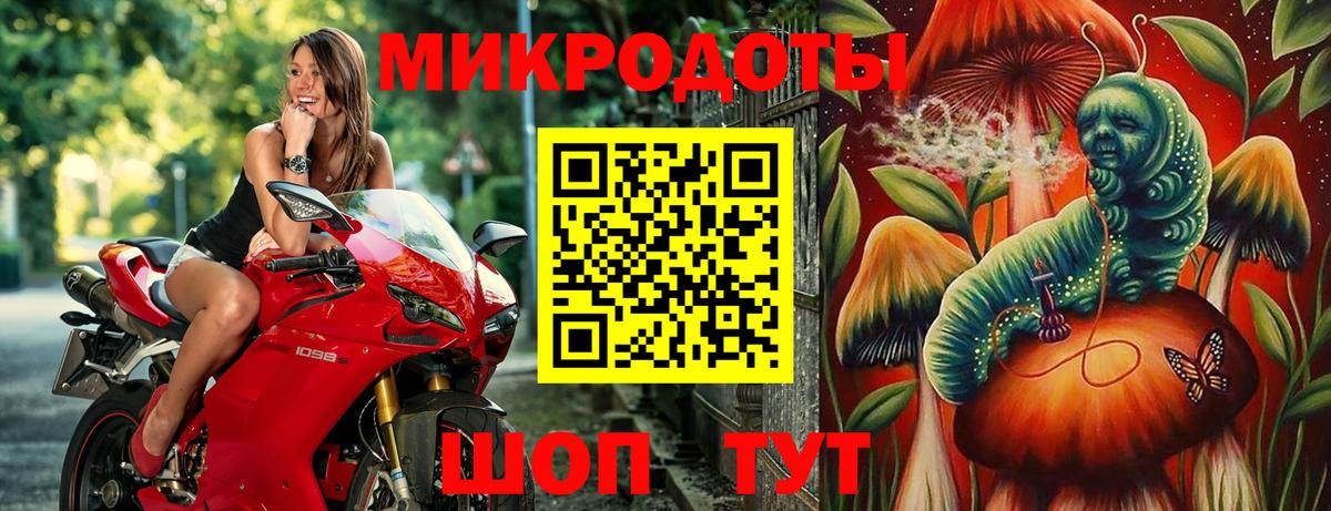 Галлюциногенные грибы мухоморы Тавда