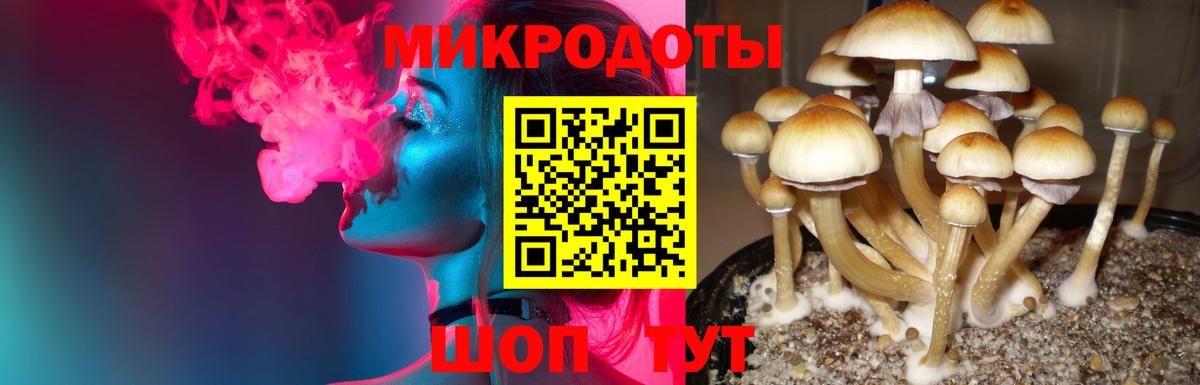 Тавда  Галлюциногенные грибы Psilocybe  Вход с VPN 